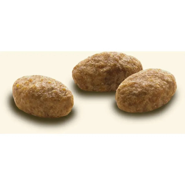 Сухий корм для котів Cat Chow Hairball 15 кг - курка Cat Chow – купити зі знижкою %
