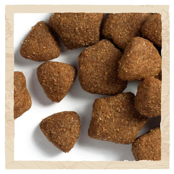 Сухий корм для дорослих собак всіх порід Dog Chow Adult Lamb 14 кг (ягня) Dog Chow – купити зі знижкою %