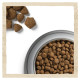 Сухий корм для дорослих собак всіх порід Dog Chow Adult Lamb 14 кг (ягня) Dog Chow – купити зі знижкою %