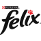 Felix