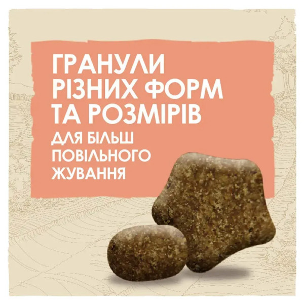 Сухий корм для дорослих собак Dog Chow Sensetive 14 кг (лосось) Dog Chow – купити зі знижкою %