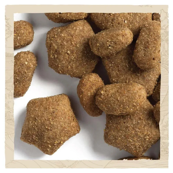 Сухий корм для дорослих собак Dog Chow Sensetive 14 кг (лосось) Dog Chow – купити зі знижкою %