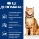 Влажный корм для котов Hill’s Prescription Diet c/d Urinary Care 85 г лосось(1 упаковка 12 шт) Hills – купить со скидкой