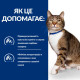 Влажный корм для кошек Hill's Prescription Diet s/d Urinary Care pouch 85 г(1 упаковка 12 шт) Hills – купить со скидкой