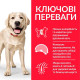 Сухой корм для собак Hill’s Science Plan Adult Light Large Breed 14 кг - курица Hills – купить со скидкой