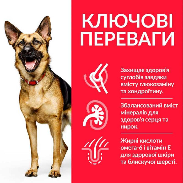 Сухой корм для собак Hill’s Science Plan Mature Adult 6+ Large Breed 14 кг - курица Hills – купить со скидкой
