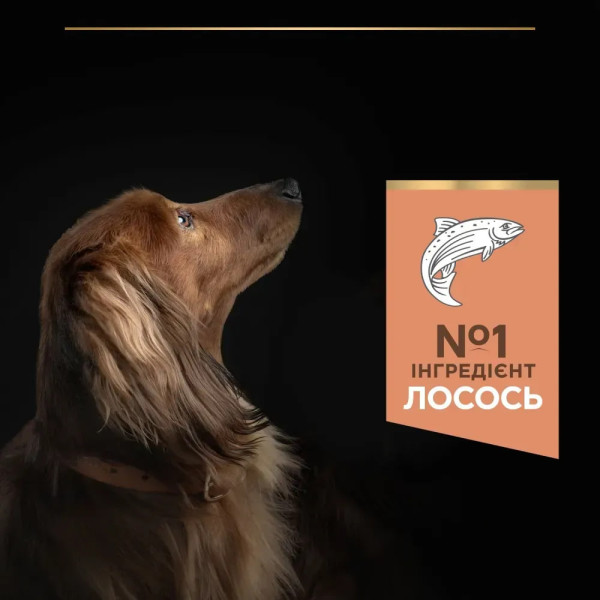 Сухой корм для собак Purina Pro Plan Small & Mini Sensitive 3 кг - лосось Pro Plan – купить со скидкой