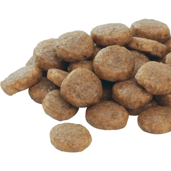 Сухой корм для щенков крупных пород Pro Plan Puppy large Robust 12 кг (курица) Pro Plan – купить со скидкой