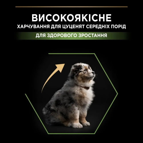 Сухой корм для щенков крупных пород Pro Plan Puppy large Robust 12 кг (курица) Pro Plan – купить со скидкой