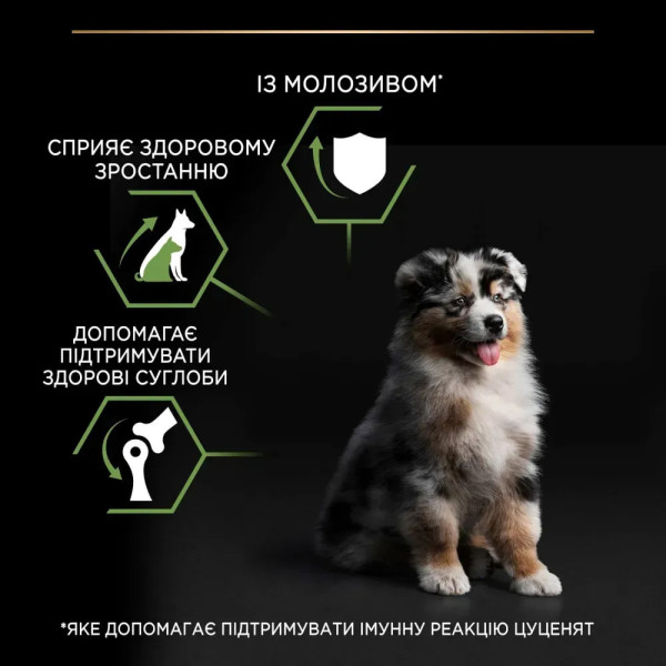 Сухой корм для щенков крупных пород Pro Plan Puppy large Robust 12 кг (курица) Pro Plan – купить со скидкой