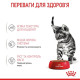Вологий корм для кошенят Royal Canin Kitten Sterilised Gravy pouch 85 г (1 упак 12 шт) Royal Canin – купити зі знижкою %
