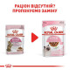 Вологий корм для кошенят Royal Canin Kitten Sterilised Gravy pouch 85 г (1 упак 12 шт) Royal Canin – купити зі знижкою %