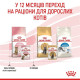 Вологий корм для кошенят Royal Canin Kitten Sterilised Gravy pouch 85 г (1 упак 12 шт) Royal Canin – купити зі знижкою %