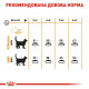 Сухий корм для котів Royal Canin Hair & Skin Care 4 кг Royal Canin – купити зі знижкою %