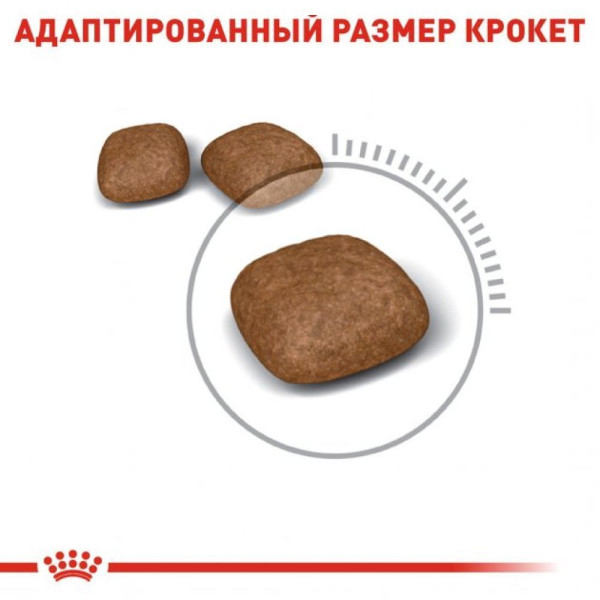 Royal Canin Urinary Care сухий корм для котів 10 кг Royal Canin – купити зі знижкою %