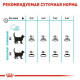Royal Canin Urinary Care сухий корм для котів 10 кг Royal Canin – купити зі знижкою %