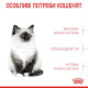 Сухий корм для кошенят Royal Canin Kitten 10 кг Royal Canin – купити зі знижкою %