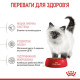 Сухий корм для кошенят Royal Canin Kitten 10 кг Royal Canin – купити зі знижкою %