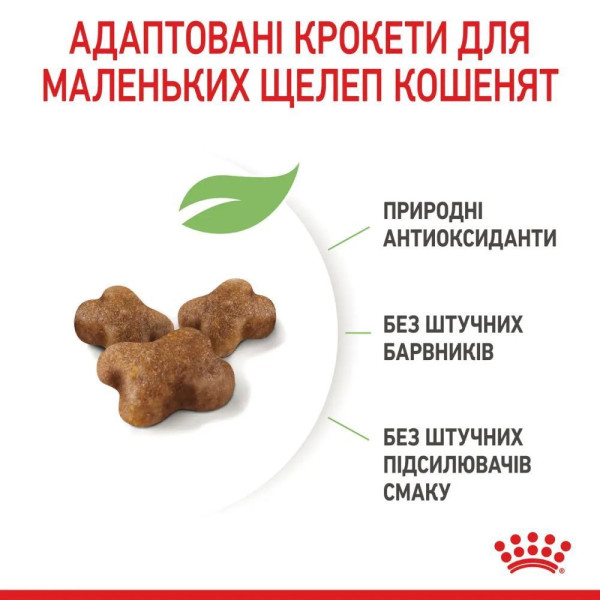 Сухий корм для кошенят Royal Canin Kitten 10 кг Royal Canin – купити зі знижкою %