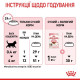 Сухий корм для кошенят Royal Canin Kitten 10 кг Royal Canin – купити зі знижкою %