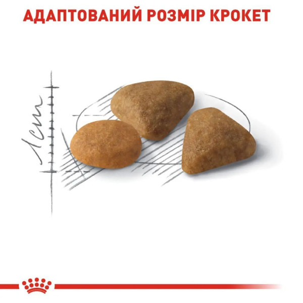 Сухий корм для котів Royal Canin Exigent Savour 2 кг Royal Canin – купити зі знижкою %