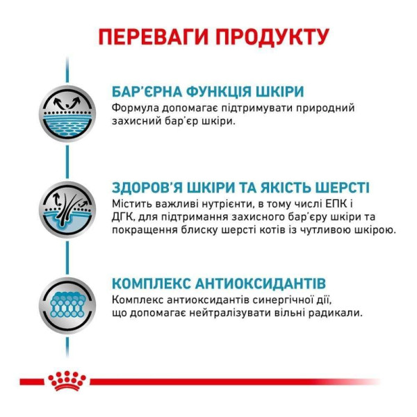 Royal Canin Skin & Coat набір вологого корму для котів (1 упак 12 шт) Royal Canin – купити зі знижкою %