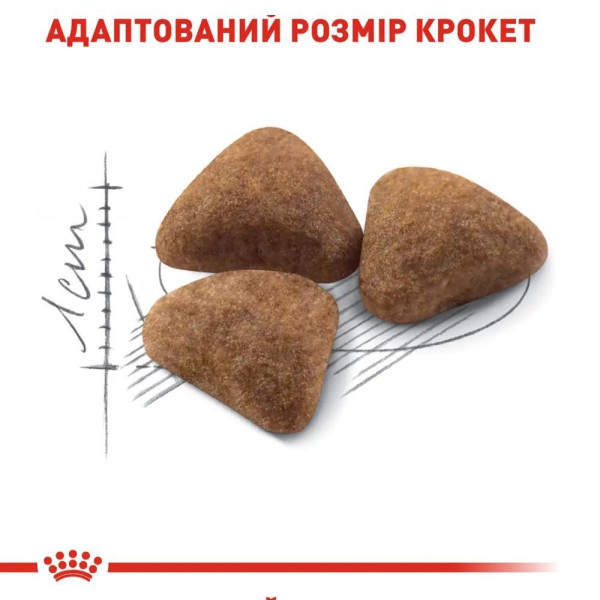 Royal Canin Indoor 27 сухий корм для котів 10 кг Royal Canin – купити зі знижкою %