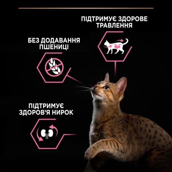 Сухой корм для кошек с чувствительным пищеварением Pro Plan Delicate Lamb 3 кг - ягнёнок Pro Plan – купить со скидкой