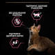 Сухой корм для кошек с чувствительным пищеварением Pro Plan Delicate Lamb 3 кг - ягнёнок Pro Plan – купить со скидкой