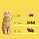 Сухий корм для котів Friskies 10 кг - курка та яловичина Friskies – купити зі знижкою %