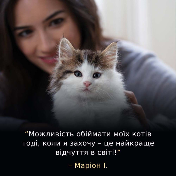Сухой корм для котят Pro Plan Live Clear Kitten 1,4 кг - индейка Pro Plan – купить со скидкой