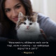 Сухой корм для котят Pro Plan Live Clear Kitten 1,4 кг - индейка Pro Plan – купить со скидкой