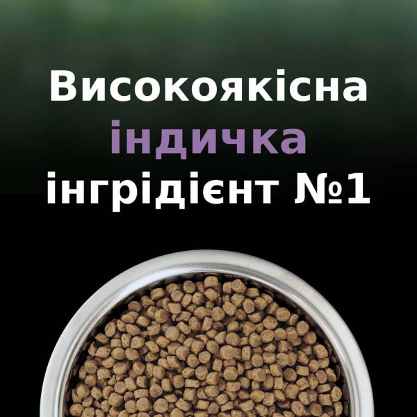 Сухой корм для котят Pro Plan Live Clear Kitten 1,4 кг - индейка Pro Plan – купить со скидкой
