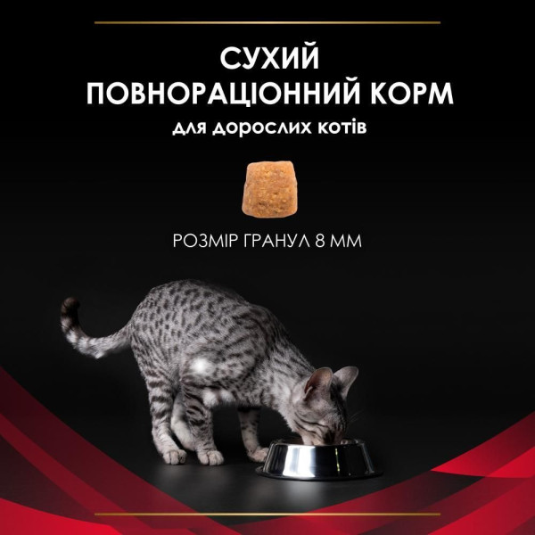 Сухий корм для котів Pro Plan Veterinary Diets DM ST/OX Diabetes Managment 1,5 кг Pro Plan Veterinary Diets – купити зі знижкою %