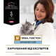 Вологий корм для котів Pro Plan Veterinary Diets NF Renal Function 195 г (асорті)(1 упаковка 24 банки) Pro Plan Veterinary Diets – купити зі знижкою %