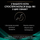 Вологий корм для кошенят та котів Pro Plan Veterinary Diets Gastrointestinal 195 г(1 упаковка 24 банки) Pro Plan Veterinary Diets – купити зі знижкою %