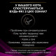 Влажный корм для кошек Pro Plan Veterinary Diets Urinary 85 г (курица) 10 шт Pro Plan Veterinary Diets – купить со скидкой