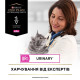Влажный корм для кошек Pro Plan Veterinary Diets Urinary 85 г (курица) 10 шт Pro Plan Veterinary Diets – купить со скидкой