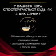 Влажный корм для котов Pro Plan Veterinary Diets Diabetes Managment pouch 85 г - говядина 10шт Pro Plan – купить со скидкой