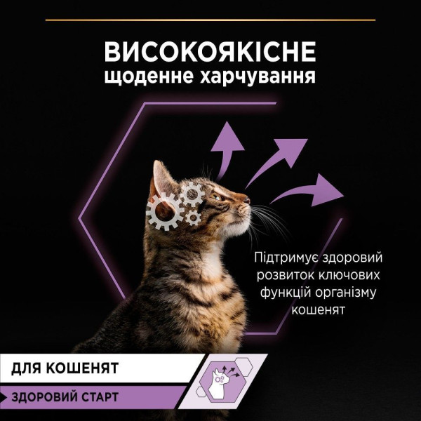 Влажный корм для котят Pro PlanKitten Healthy Start Chicken 85 г (курица) 24 шт Pro Plan – купить со скидкой