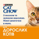 Вологий корм для котів Cat Chow Adult (лосось та зелена квасоля)(1 упаковка 26 шт) Cat Chow – купити зі знижкою %