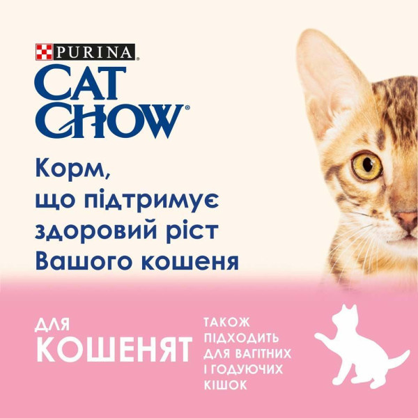 Вологий корм для кошенят Cat Chow Kitten pouch (ягня та кабачок)(1 упаковка 26 шт) Cat Chow – купити зі знижкою %