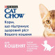 Вологий корм для кошенят Cat Chow Kitten pouch (ягня та кабачок)(1 упаковка 26 шт) Cat Chow – купити зі знижкою %