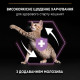 Сухой корм для котят Pro Plan Original Kitten Chicken 0,4 кг - курица Pro Plan – купить со скидкой