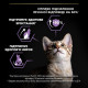 Сухой корм для котят Pro Plan Original Kitten Chicken 0,4 кг - курица Pro Plan – купить со скидкой