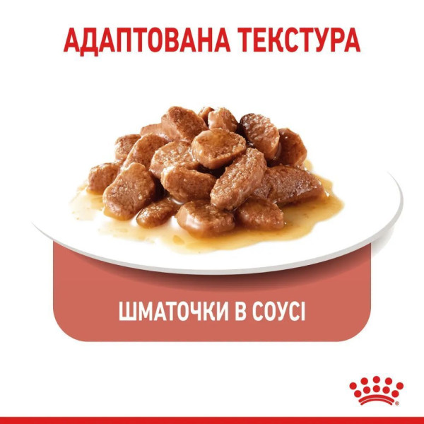 Вологий корм для котів Royal Canin Appetite Control Gravy pouch 85 г (1 упак 12 шт) Royal Canin – купити зі знижкою %