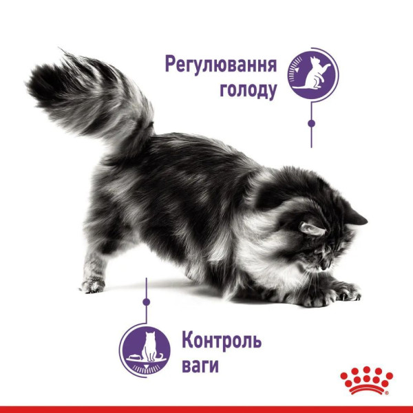 Вологий корм для котів Royal Canin Appetite Control Gravy pouch 85 г (1 упак 12 шт) Royal Canin – купити зі знижкою %