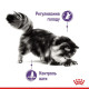 Вологий корм для котів Royal Canin Appetite Control Gravy pouch 85 г (1 упак 12 шт) Royal Canin – купити зі знижкою %