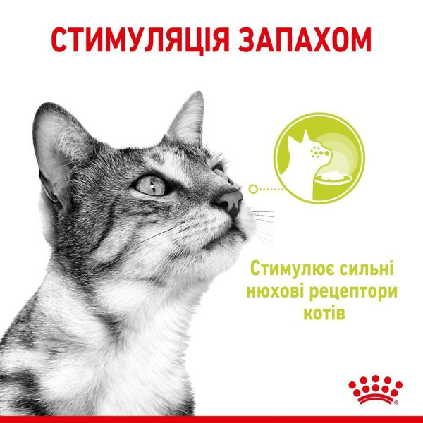 Вологий корм для котів Royal Canin Sensory Smell Gravy pouch 85 г (1 упак 12 шт) Royal Canin – купити зі знижкою %