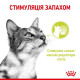 Вологий корм для котів Royal Canin Sensory Smell Gravy pouch 85 г (1 упак 12 шт) Royal Canin – купити зі знижкою %